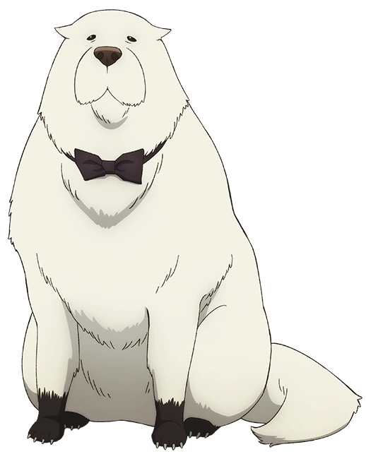 Anya at Eden Academy with her Stella stars