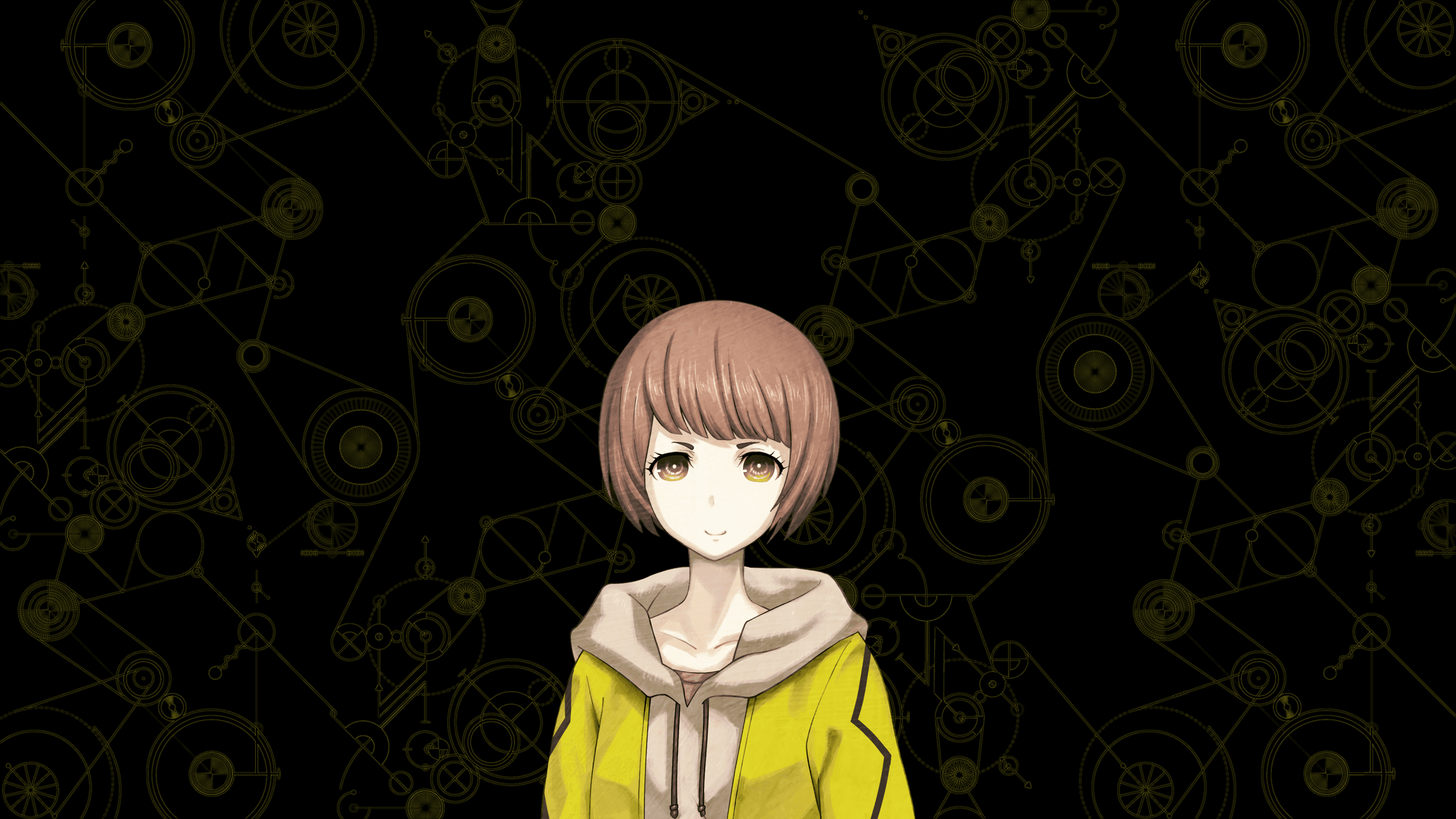 Steins Gate anime characters