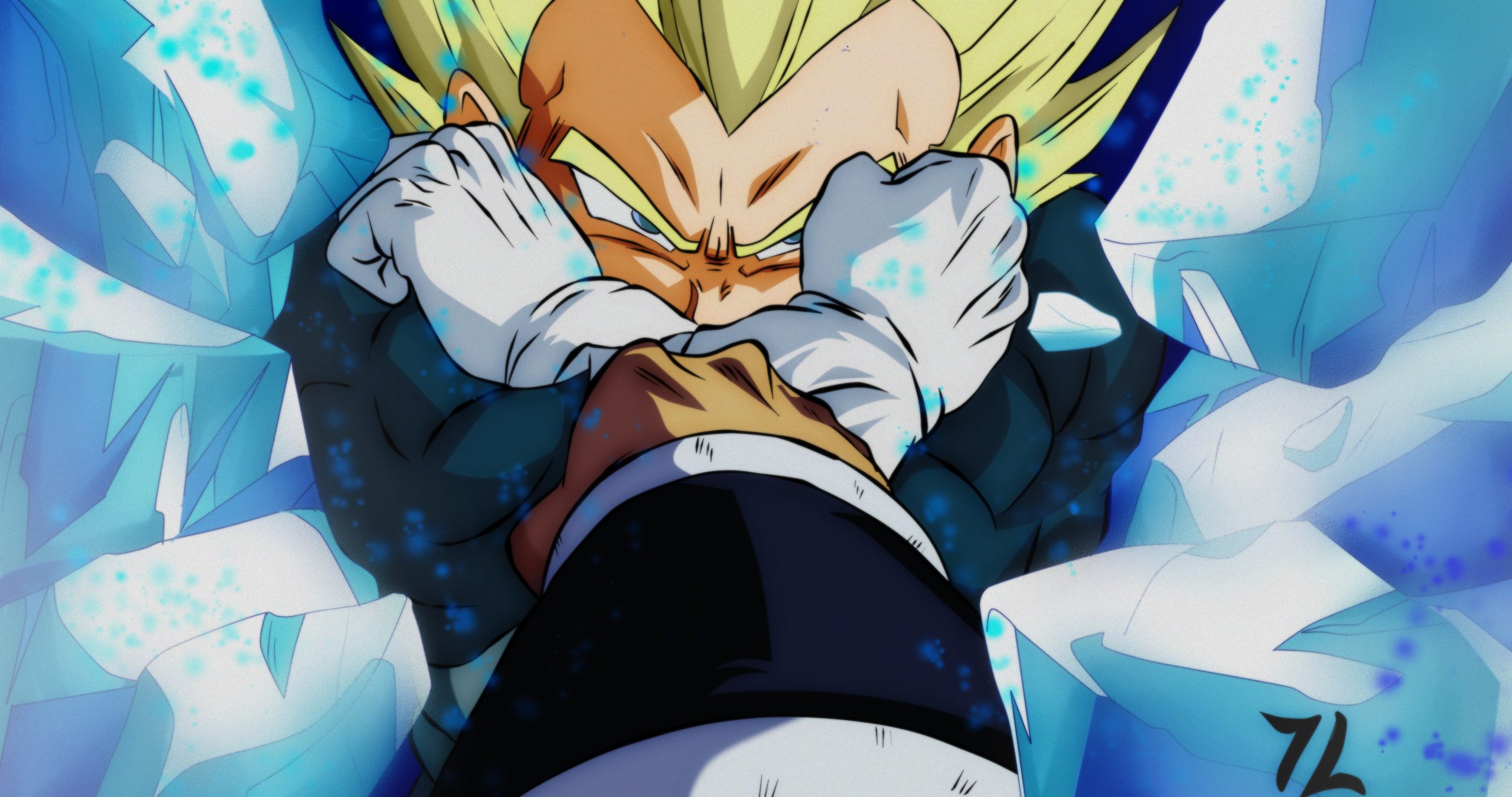 Vegeta artwork