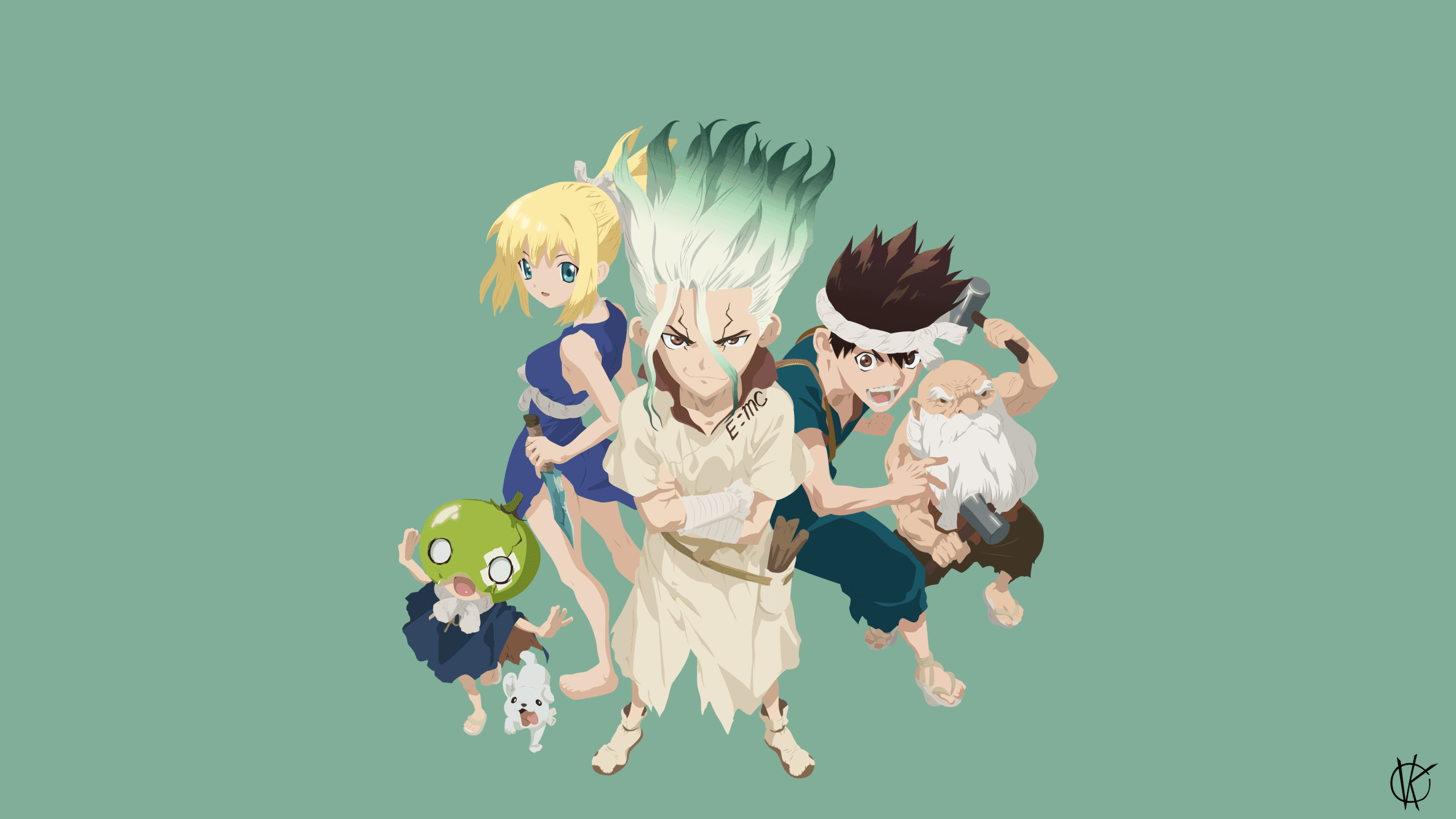 Dr. Stone minimalist art